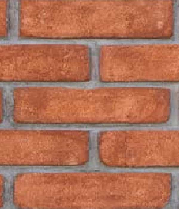 Antik Patara Turuncu